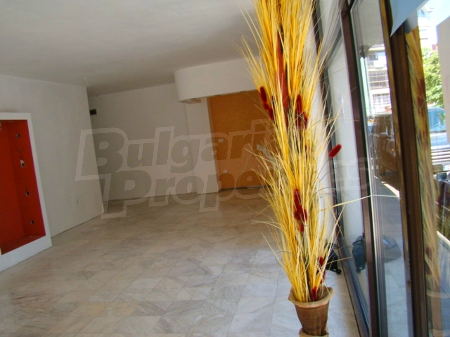 Gallery Picture 12