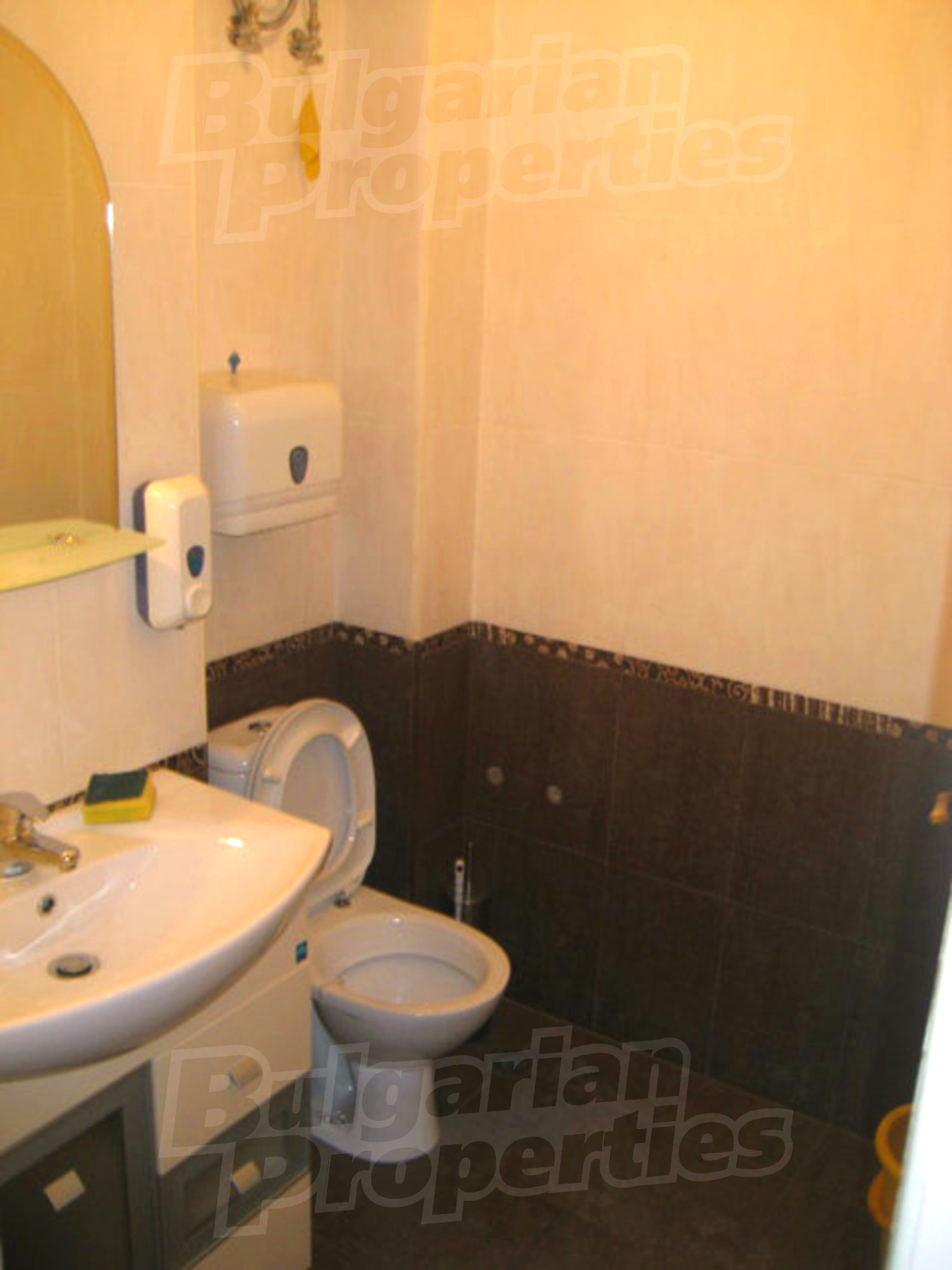 Gallery Picture 7