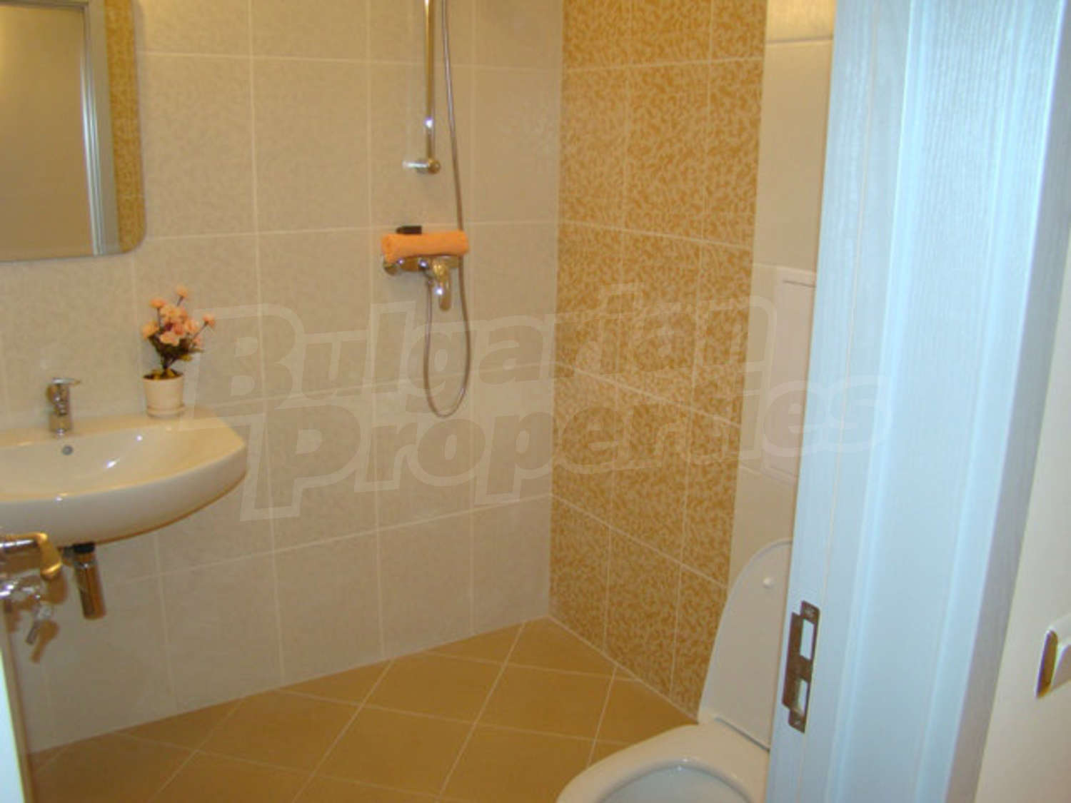Gallery Picture 10