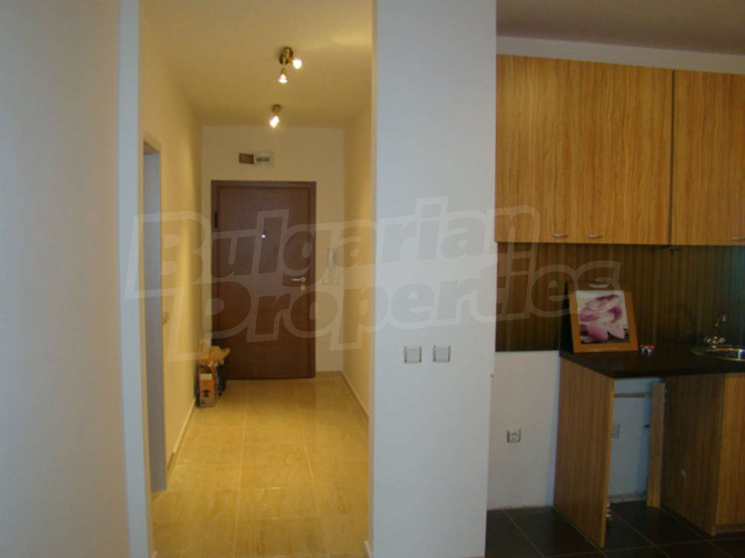 Gallery Picture 3