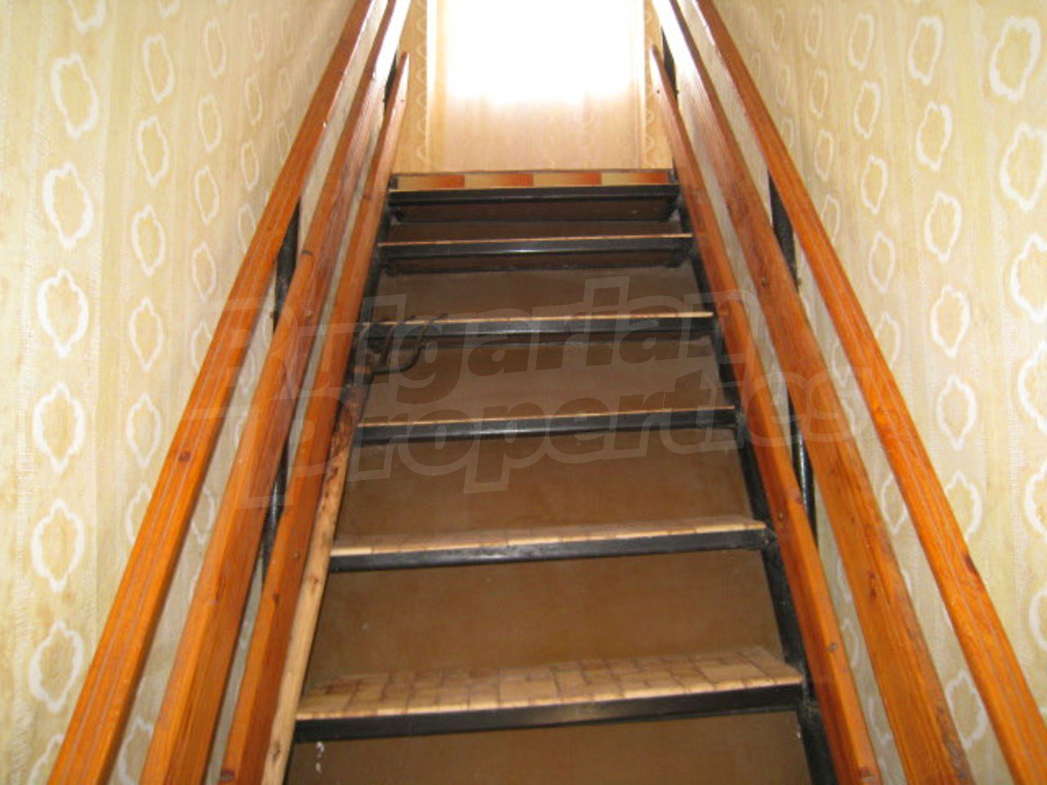 Gallery Picture 11