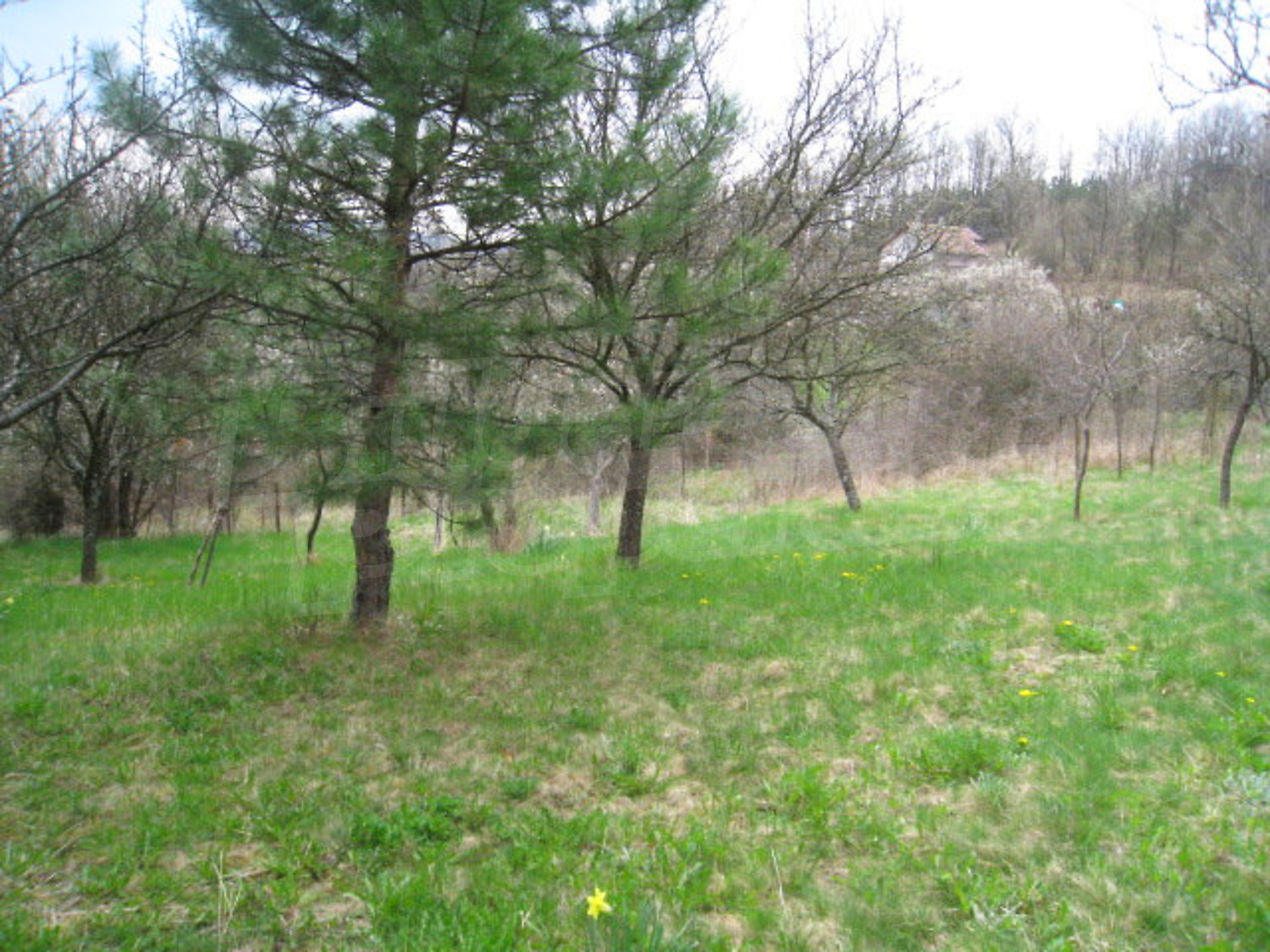 Gallery Picture 14