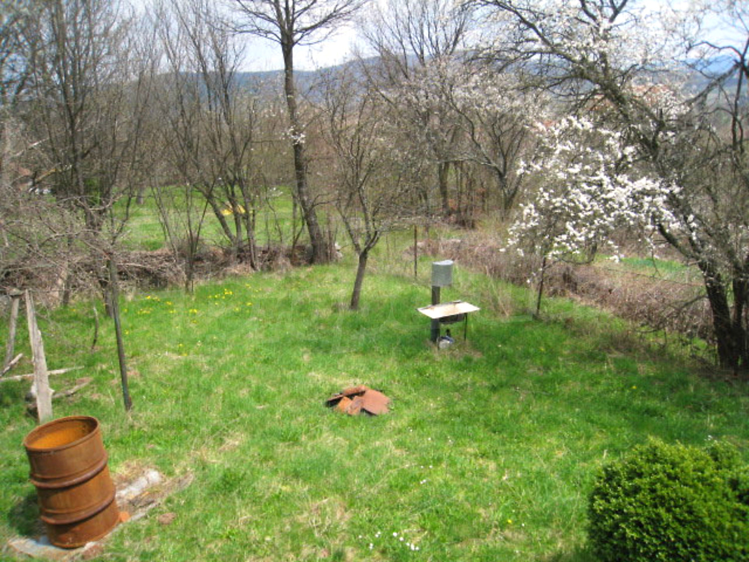 Gallery Picture 15