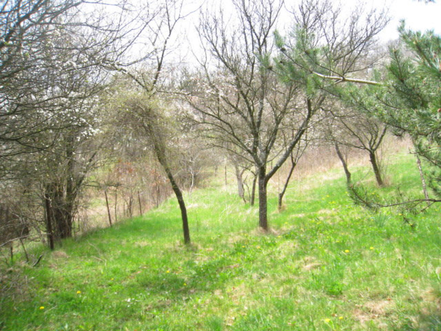 Gallery Picture 16
