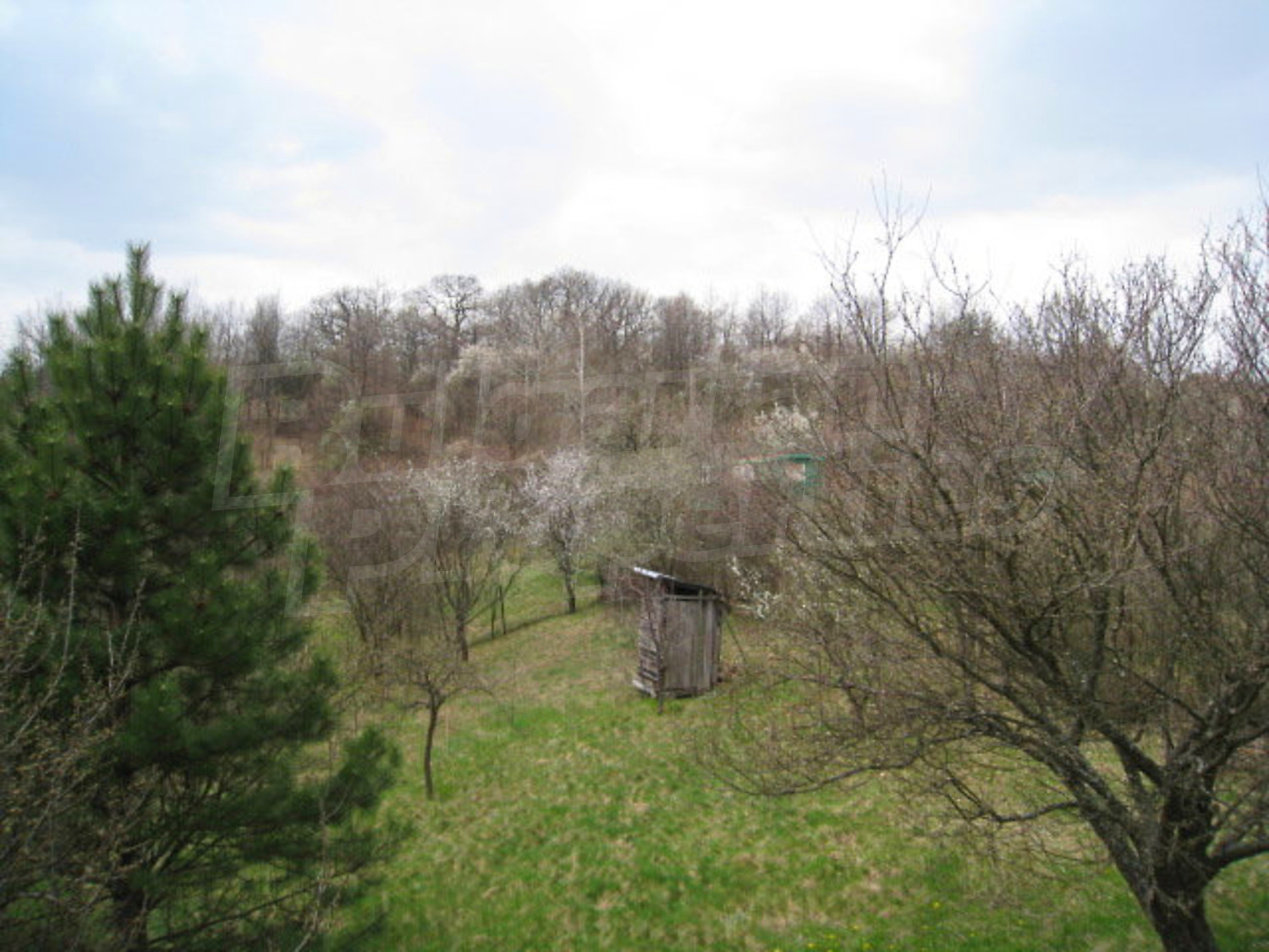 Gallery Picture 18