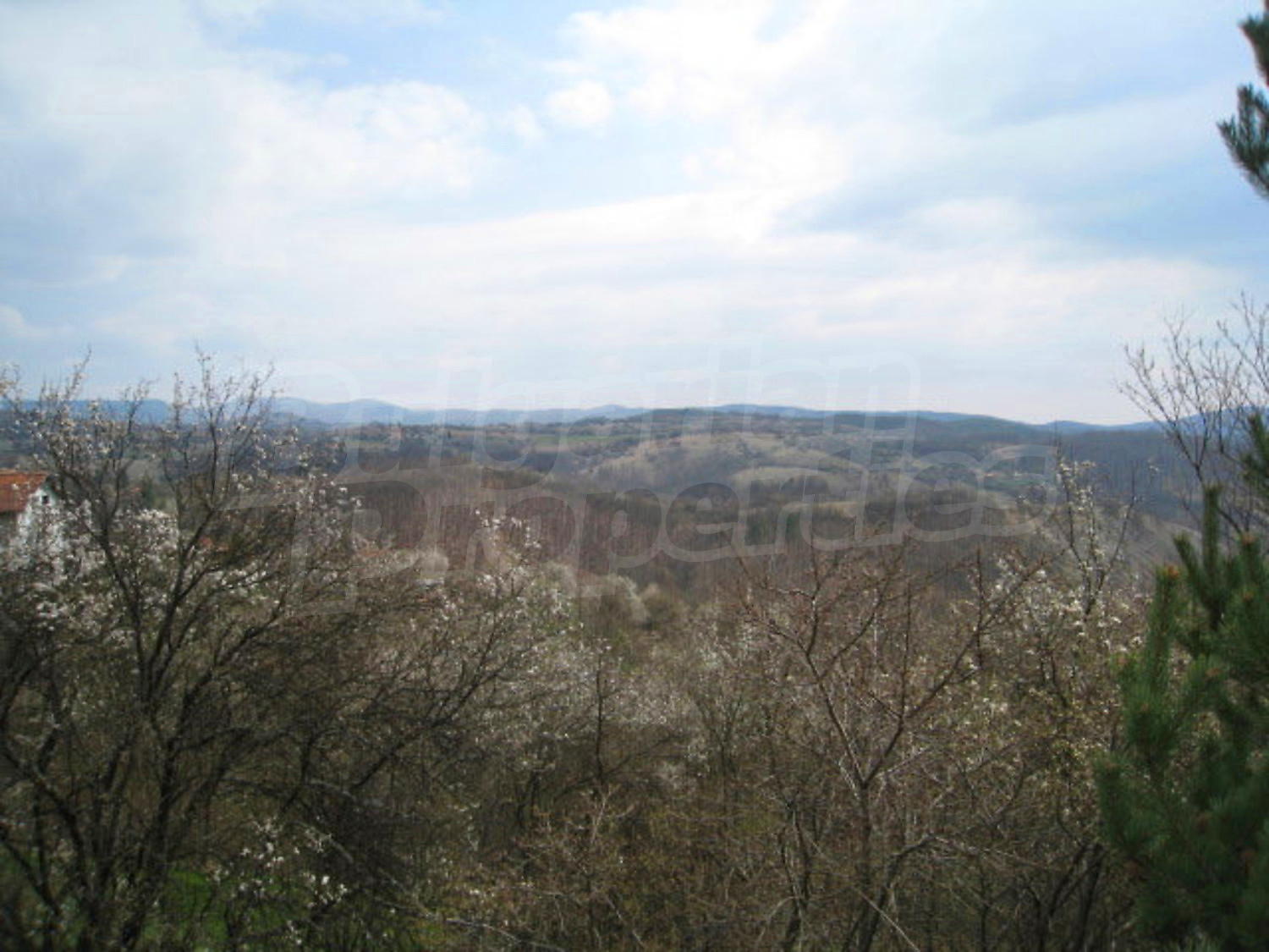 Gallery Picture 19