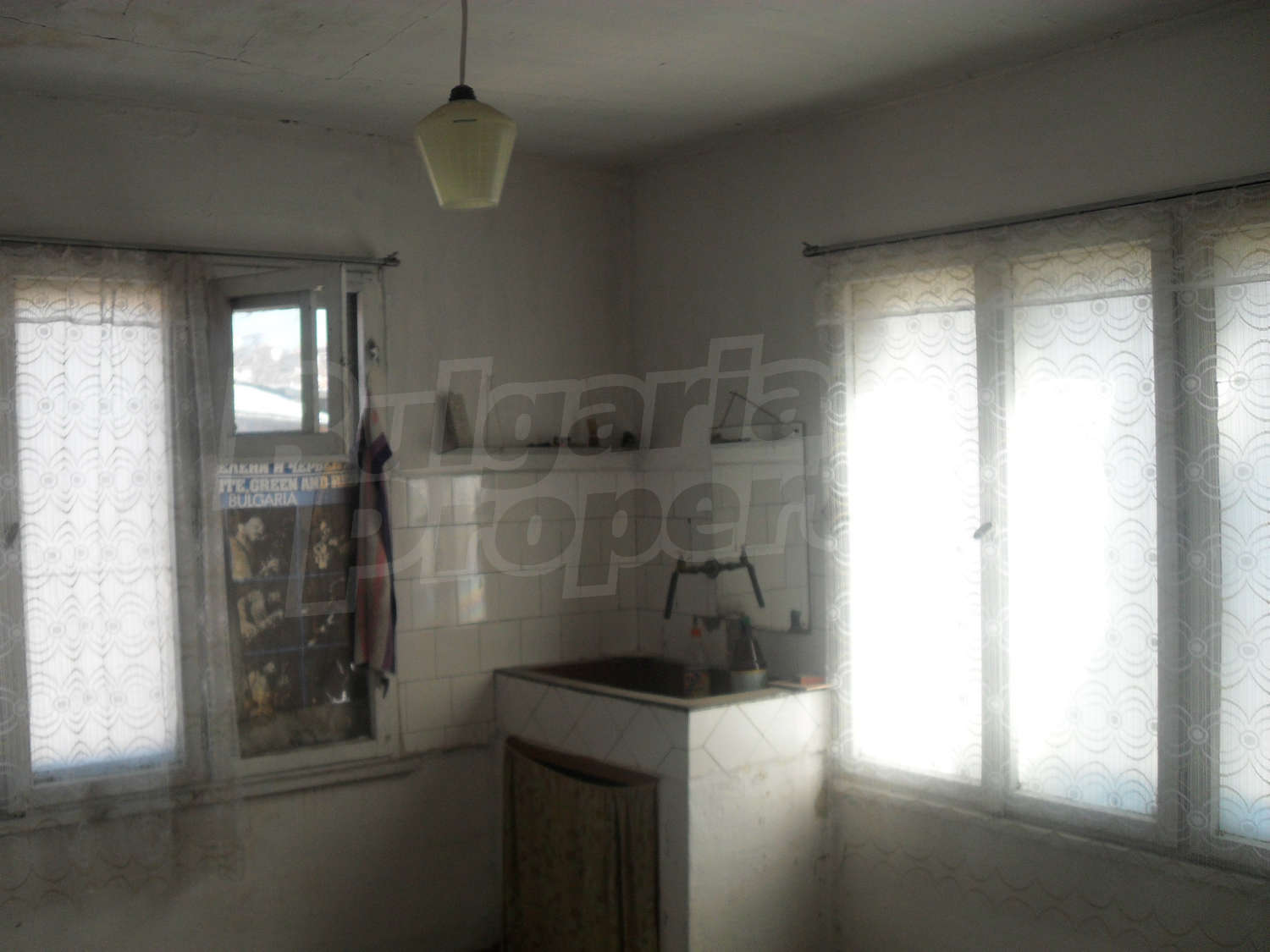 Gallery Picture 13