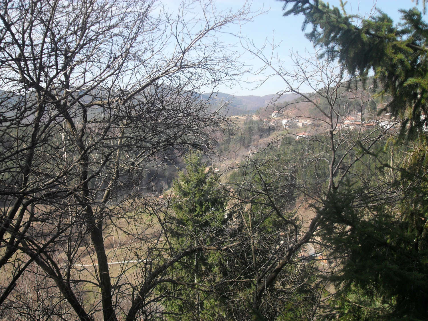 Gallery Picture 16