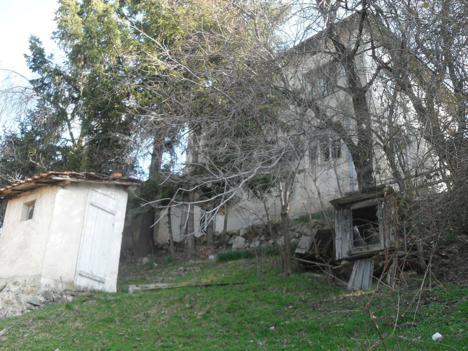 Gallery Picture 3
