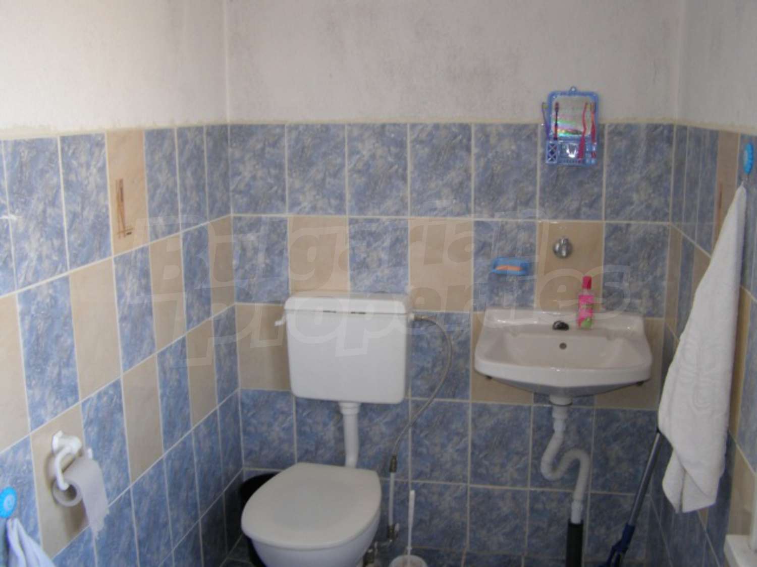Gallery Picture 17