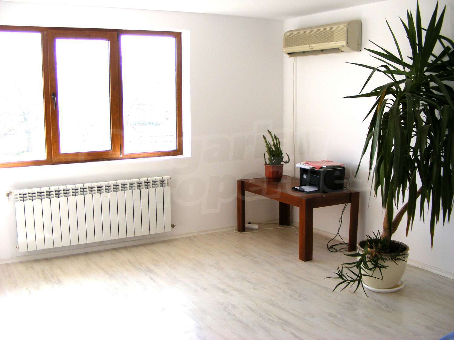 Gallery Picture 10