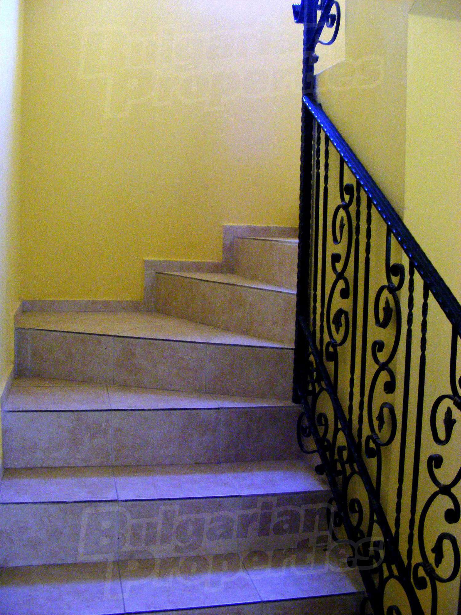 Gallery Picture 6