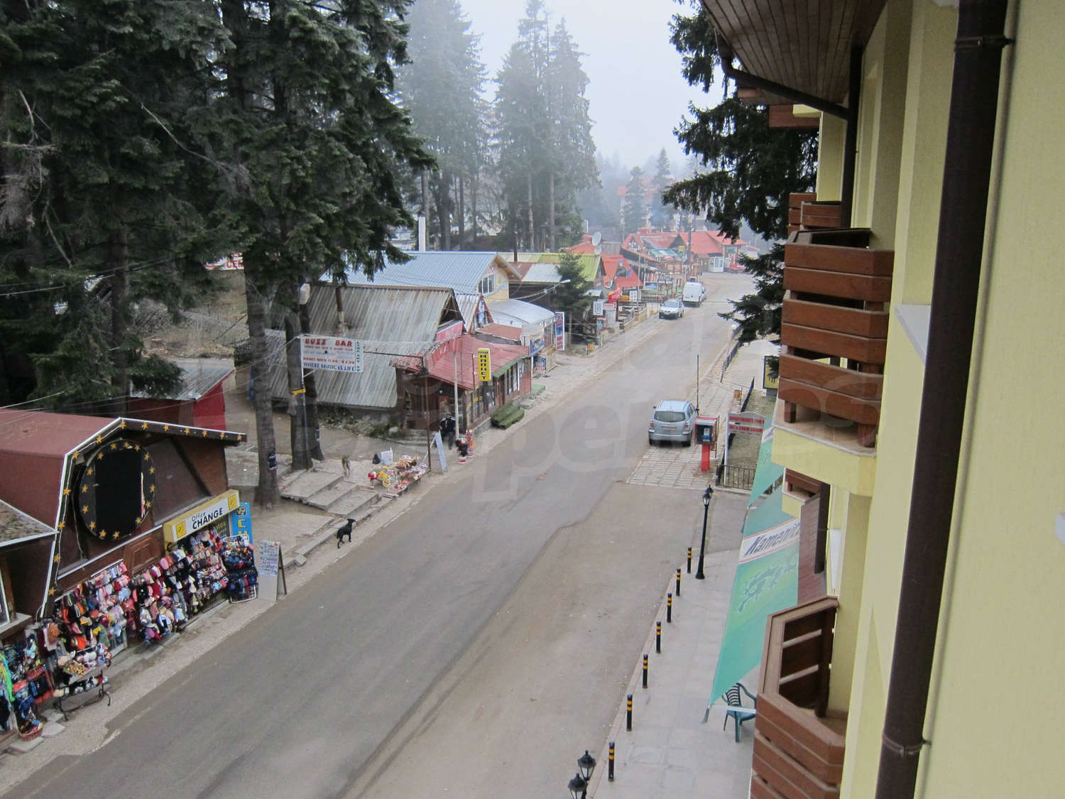 Gallery Picture 10
