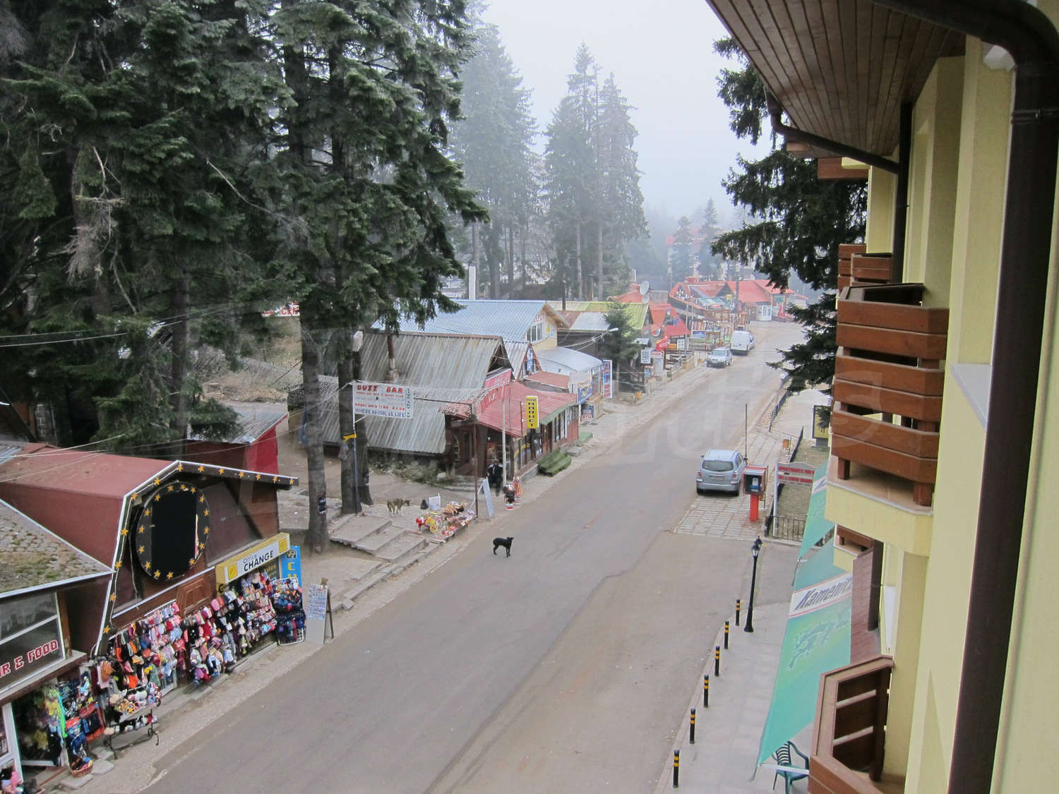 Gallery Picture 11