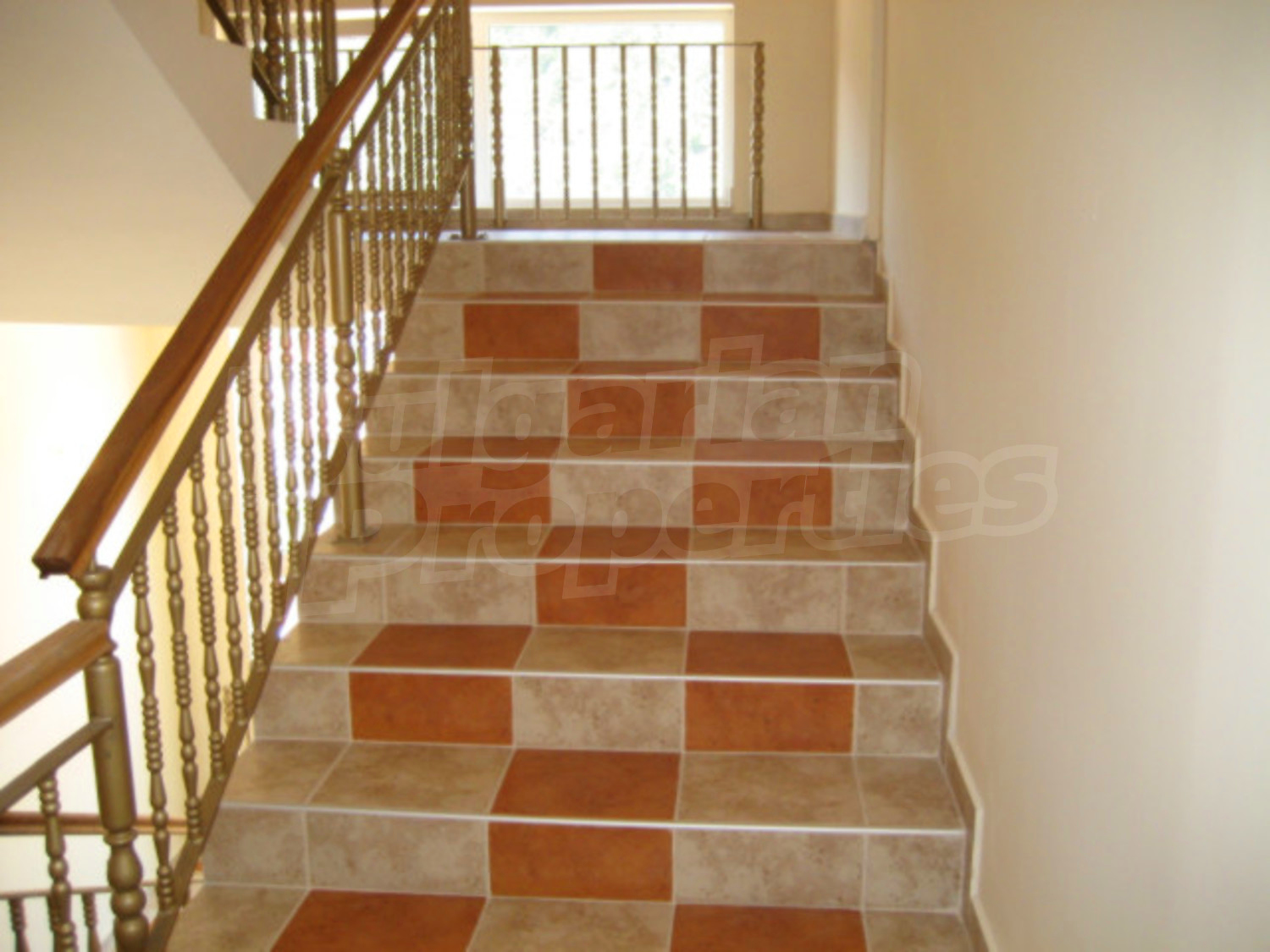 Gallery Picture 17
