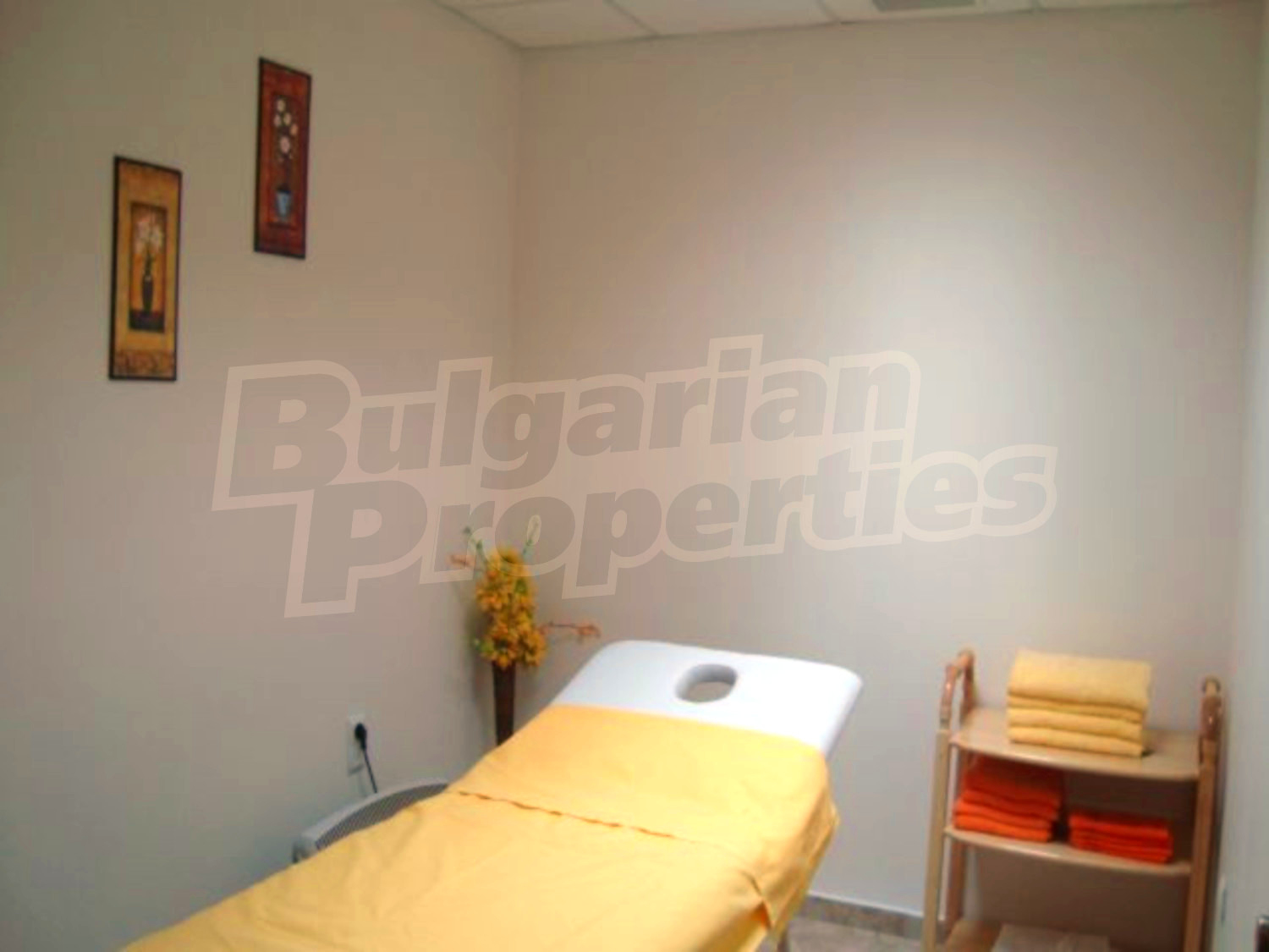 Gallery Picture 21
