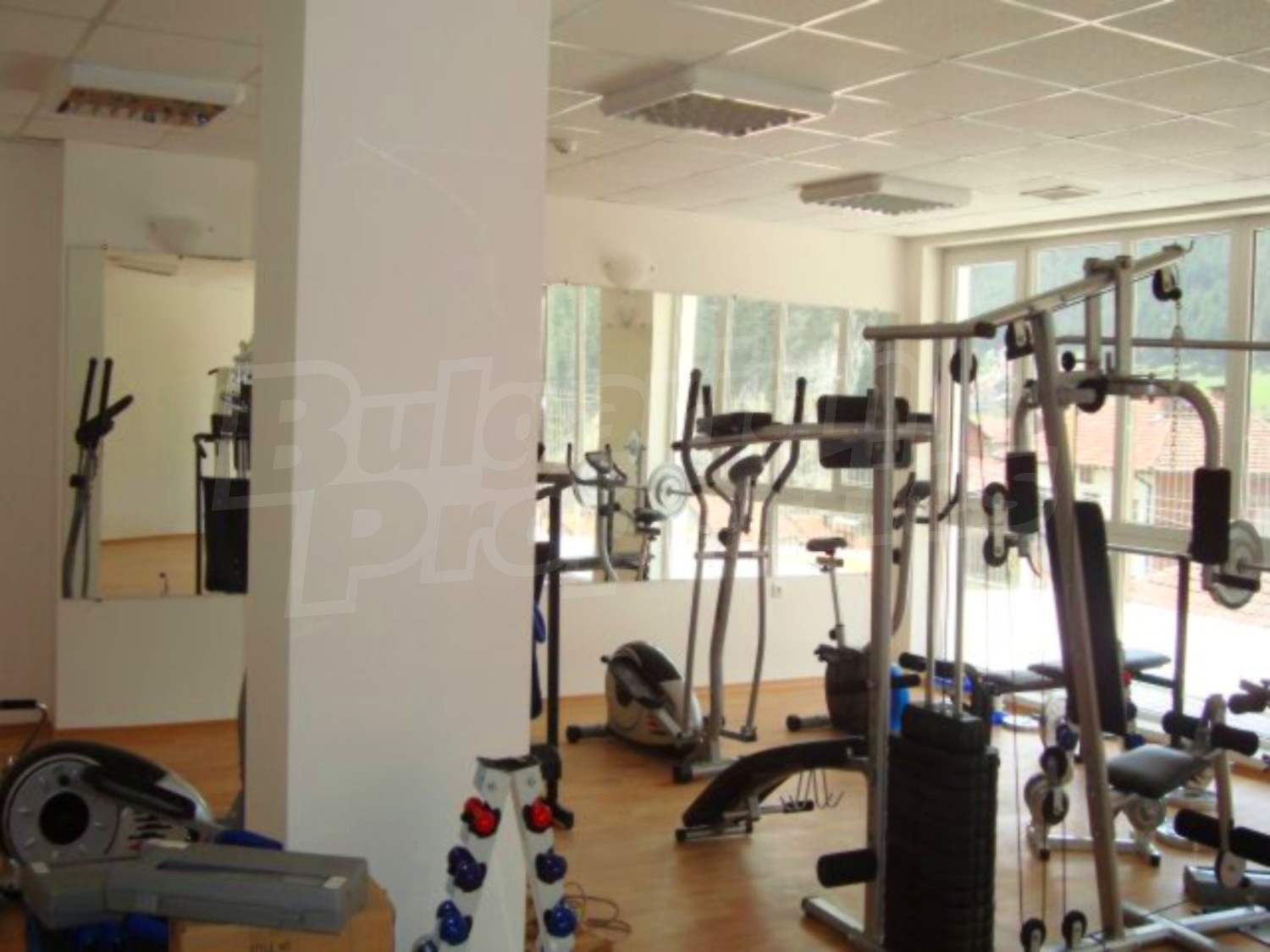 Gallery Picture 23