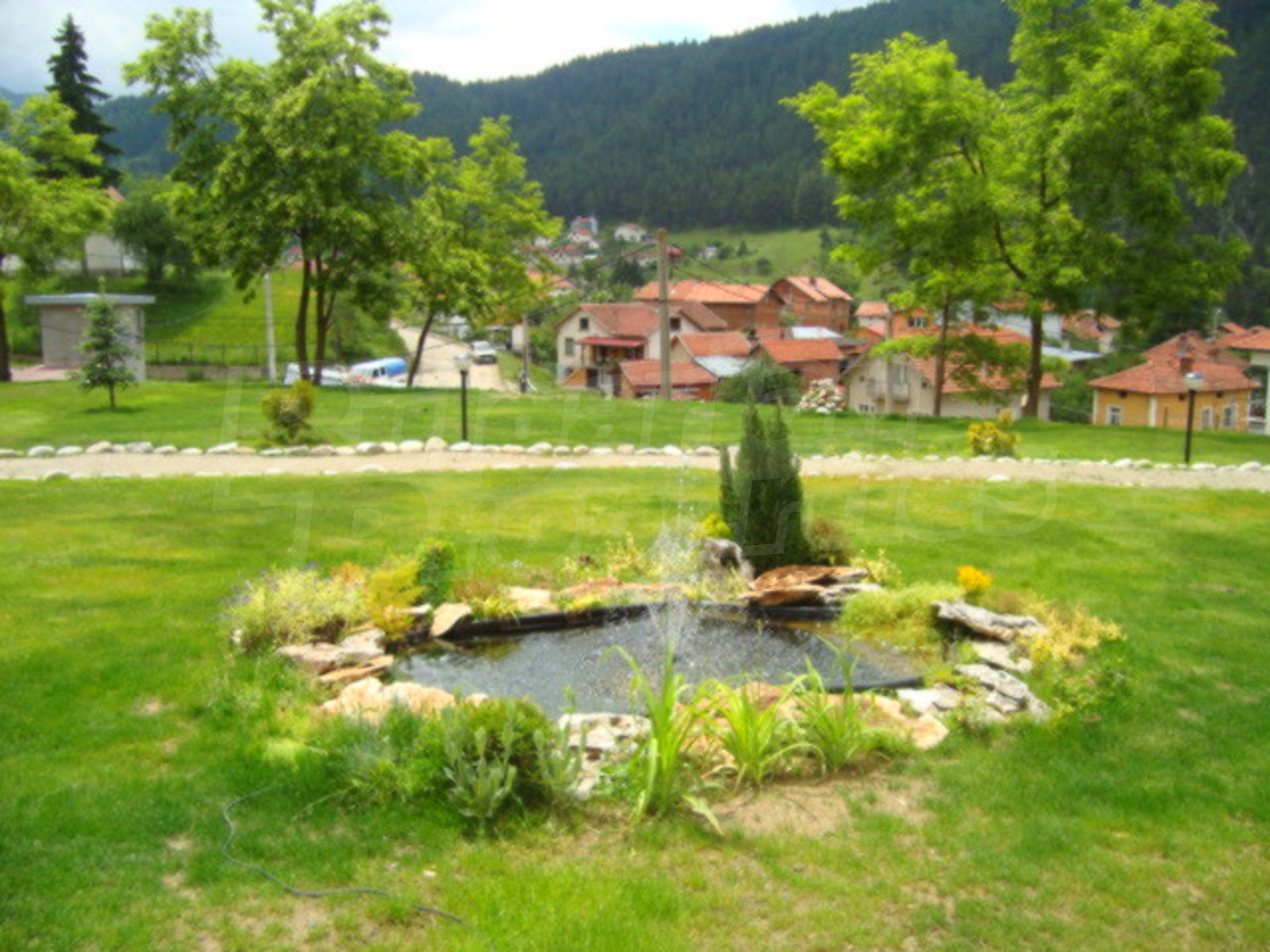 Gallery Picture 26