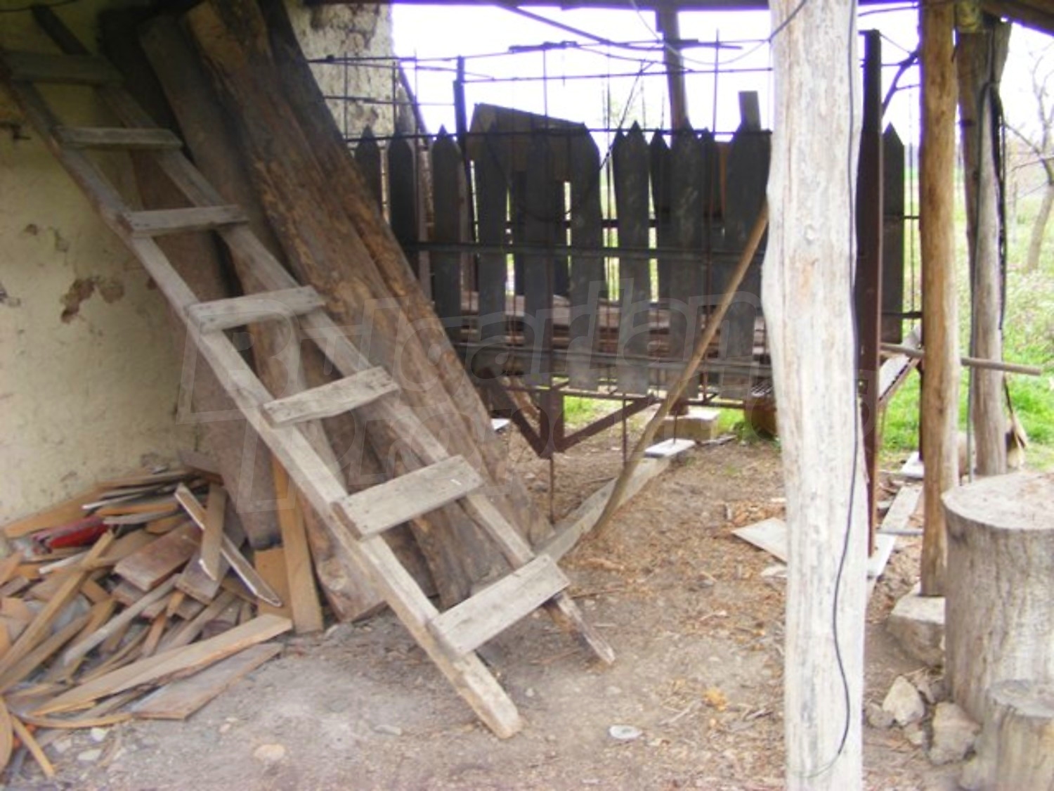 Gallery Picture 11
