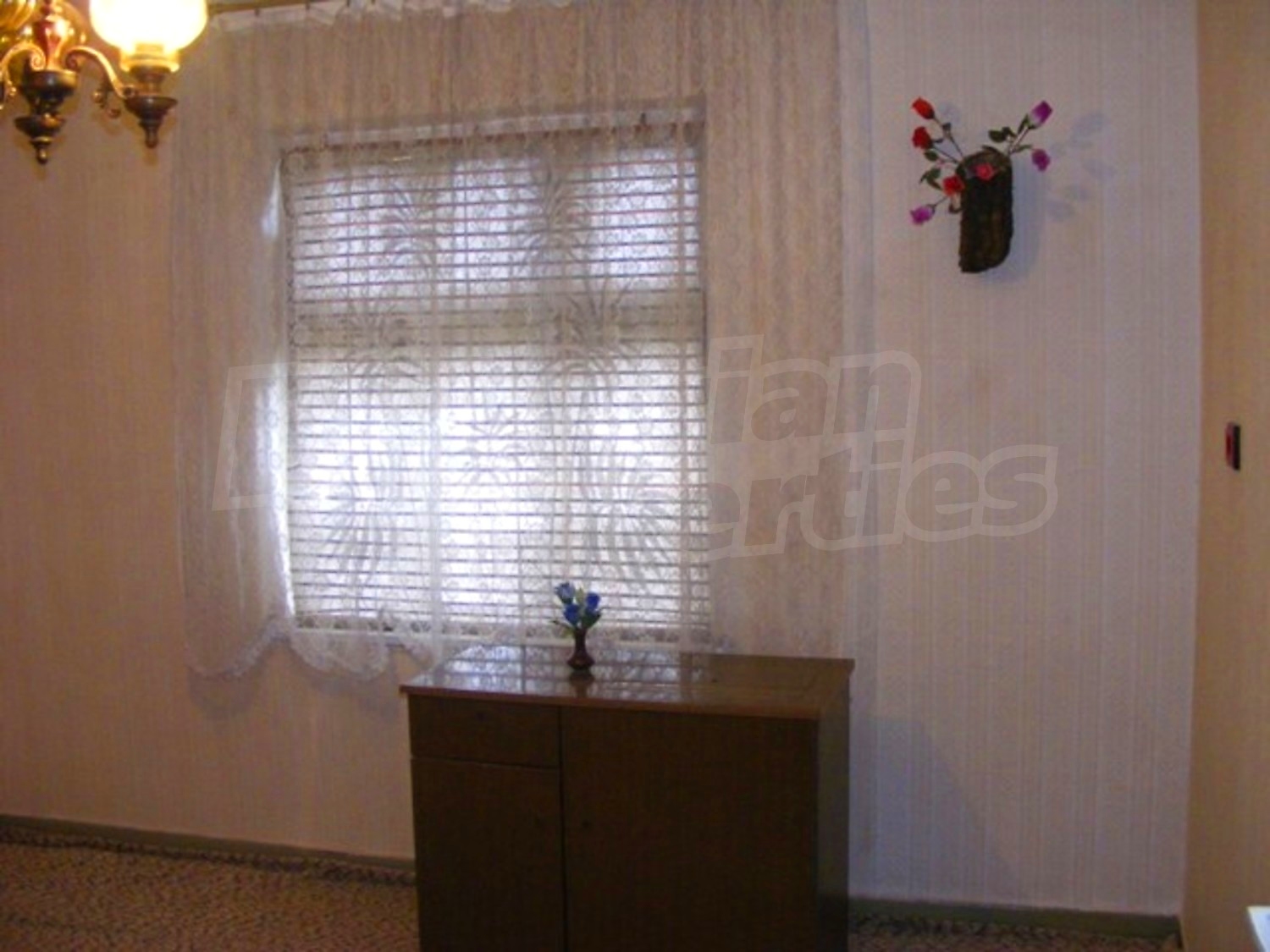 Gallery Picture 24