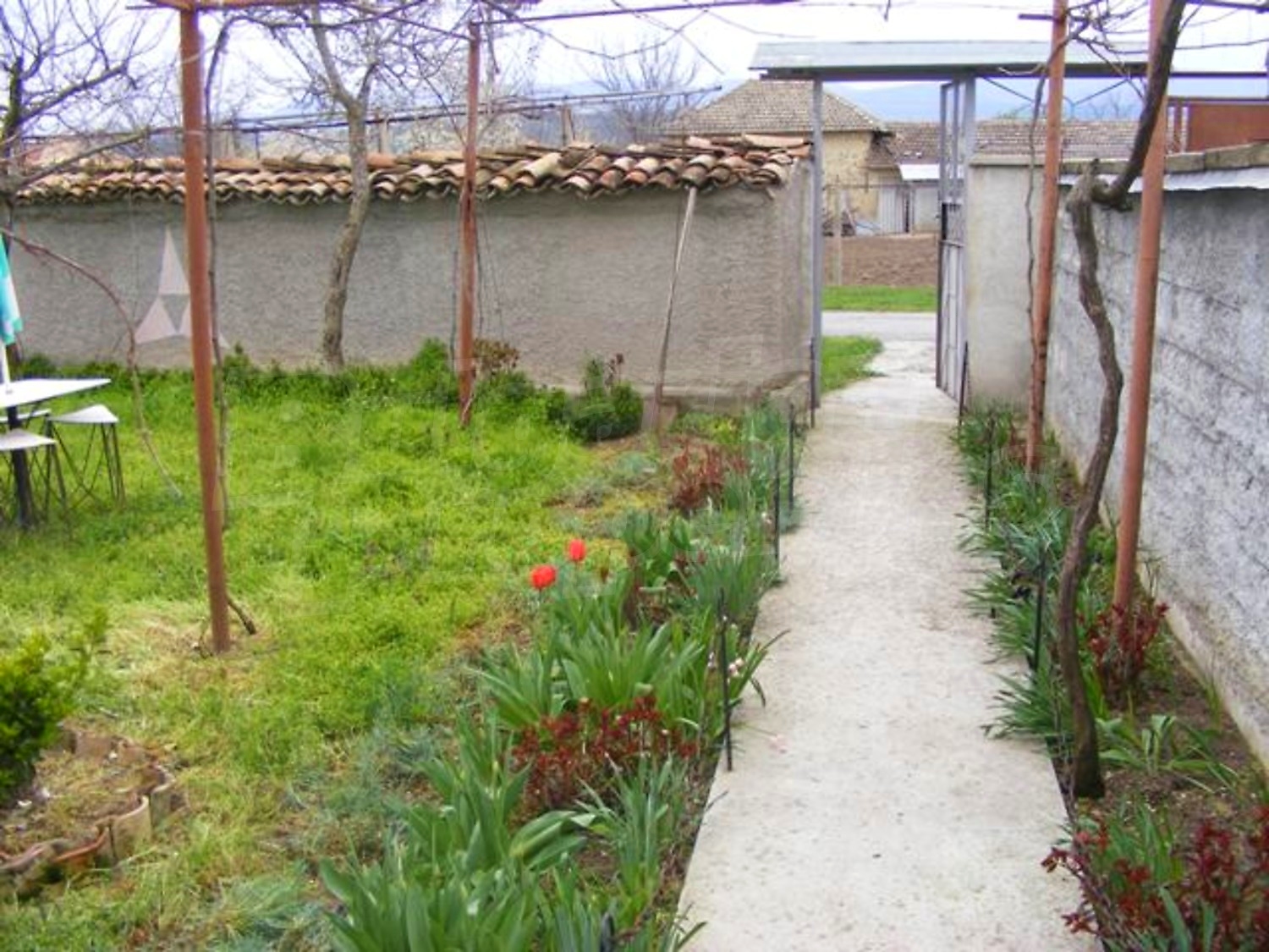 Gallery Picture 5