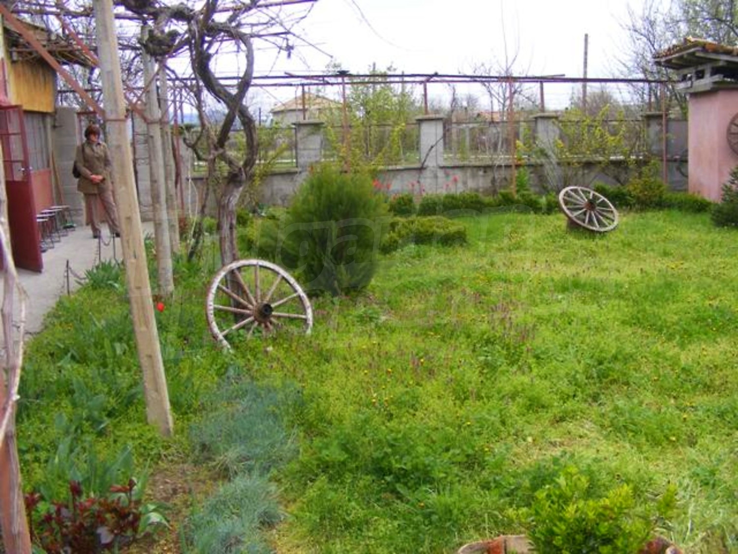 Gallery Picture 7