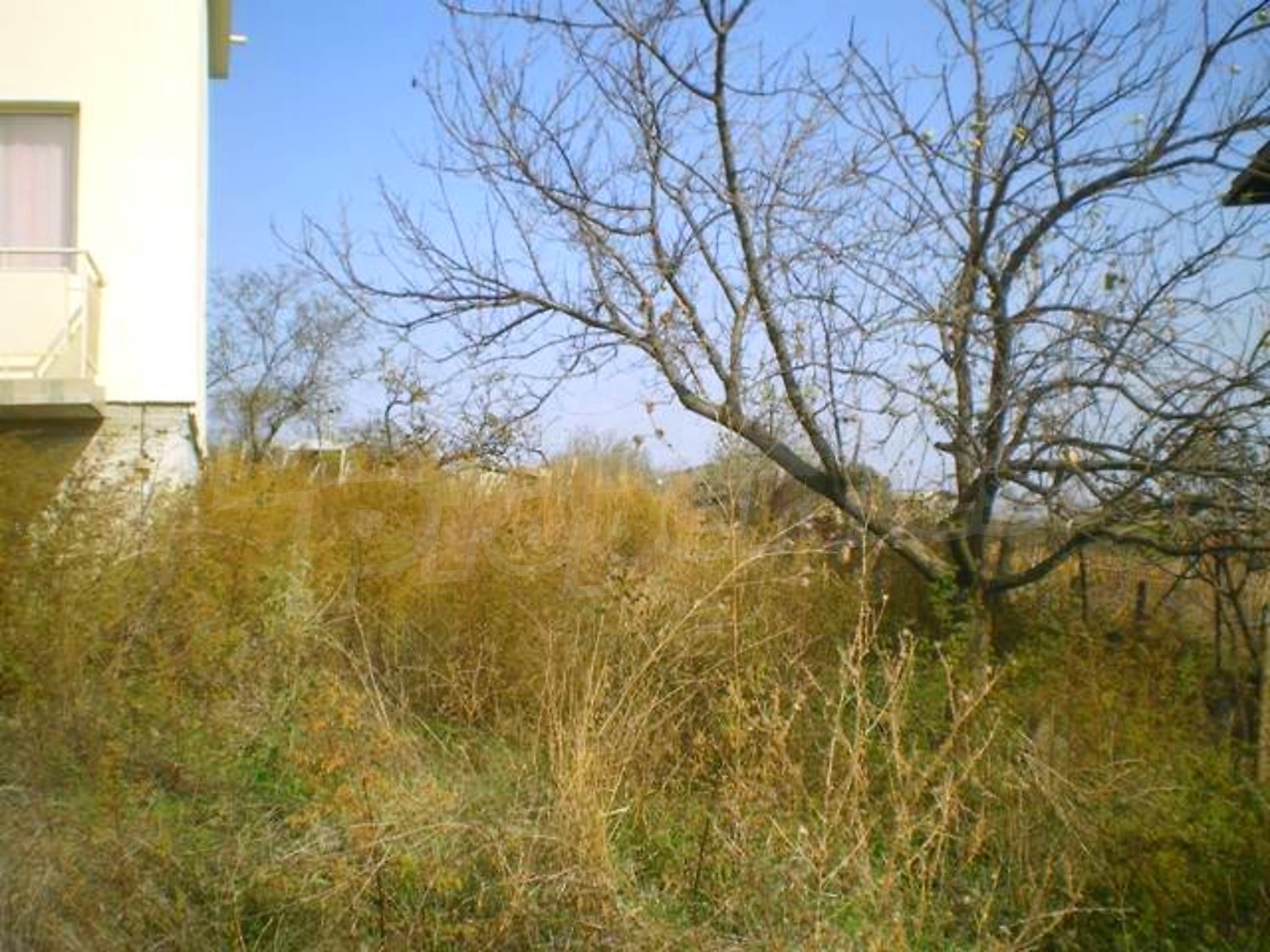 Gallery Picture 17