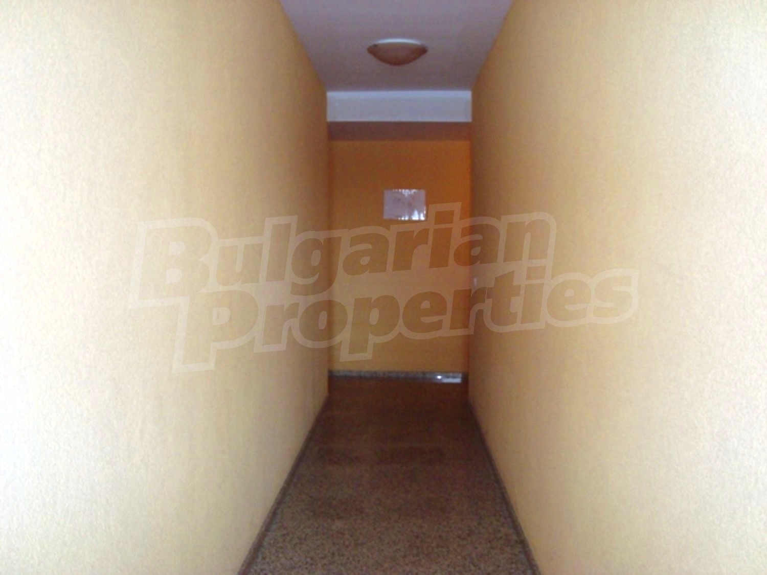 Gallery Picture 11