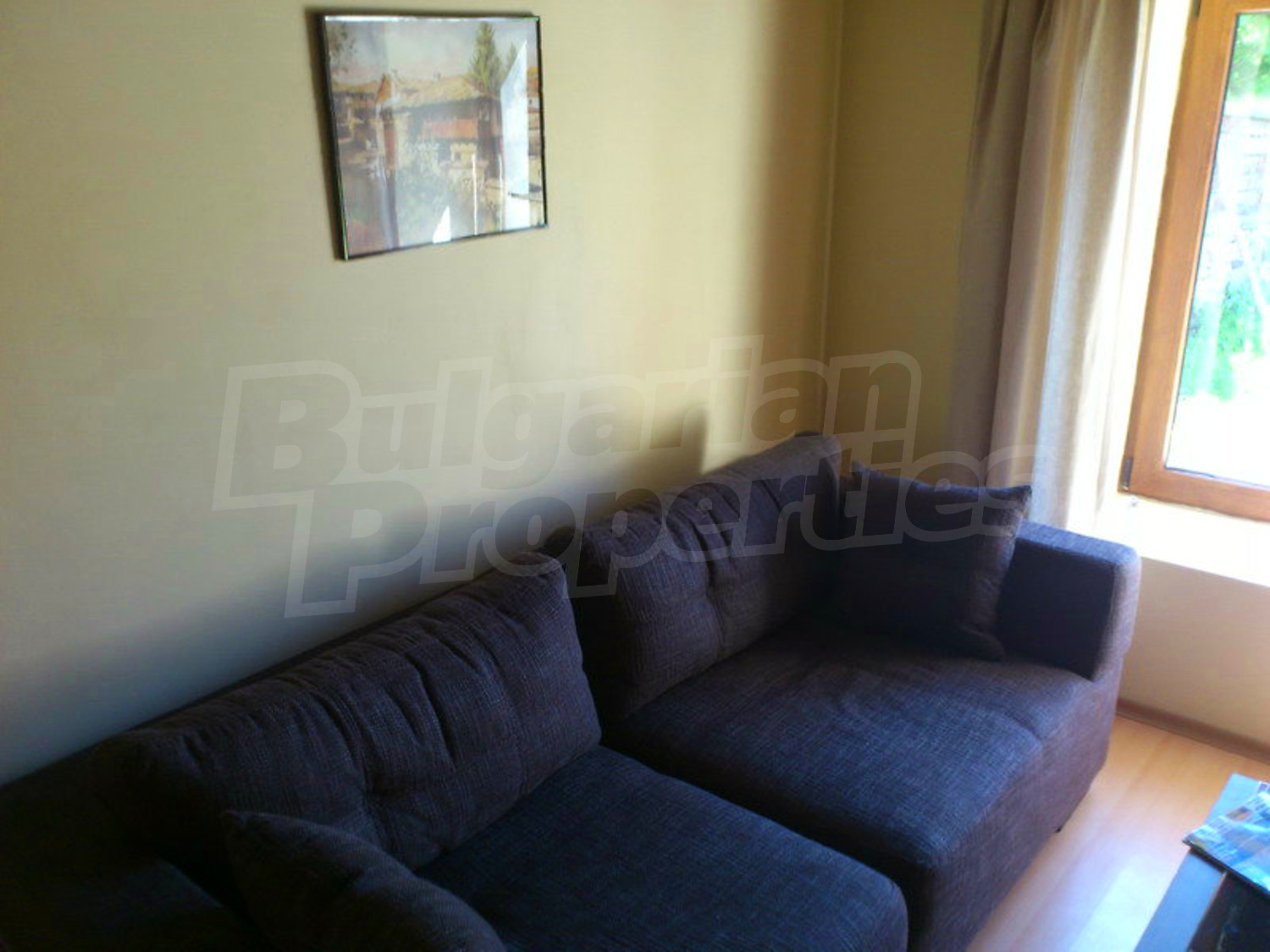 Gallery Picture 59