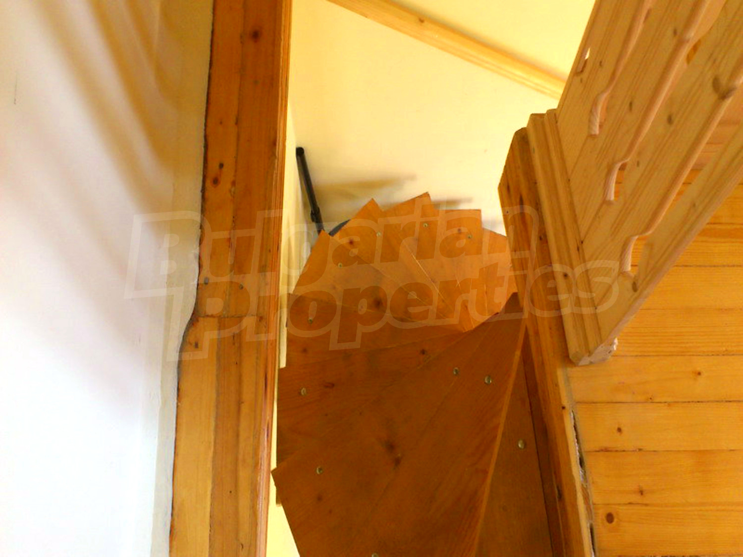 Gallery Picture 61