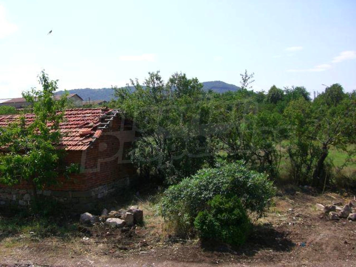 Gallery Picture 15