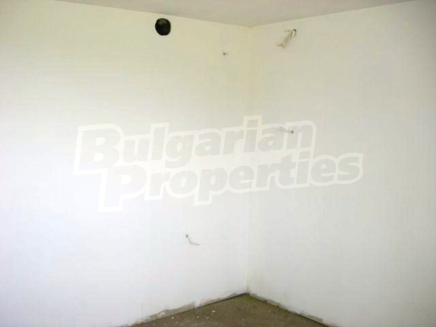 Gallery Picture 9