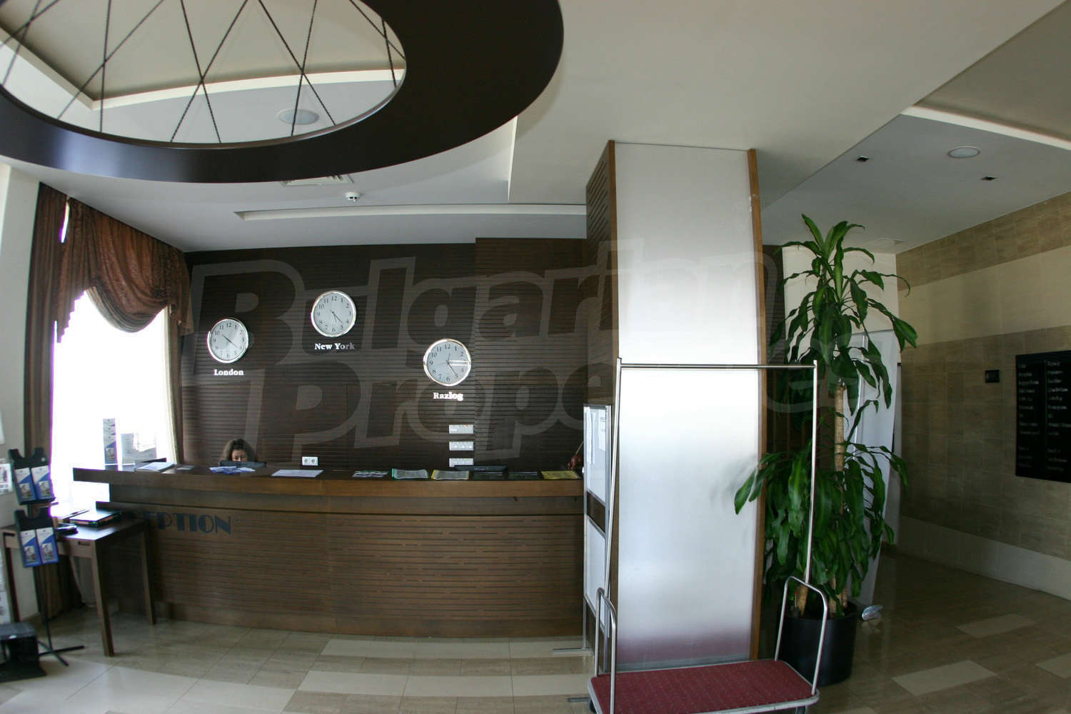 Gallery Picture 26
