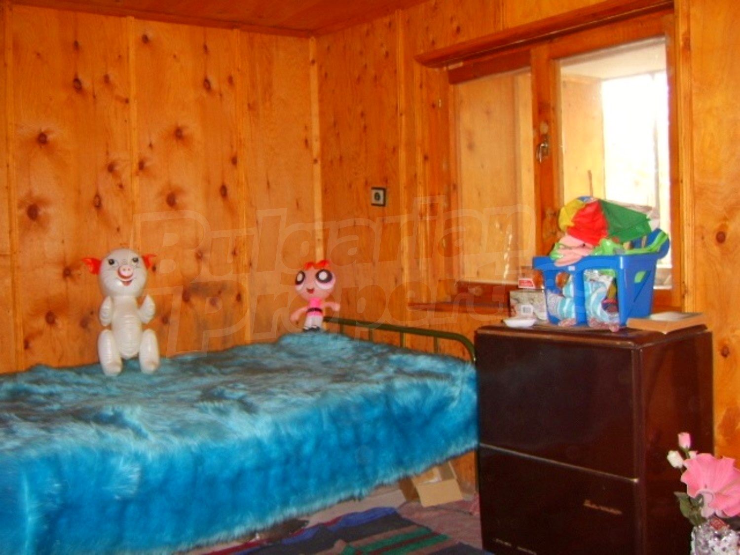 Gallery Picture 11