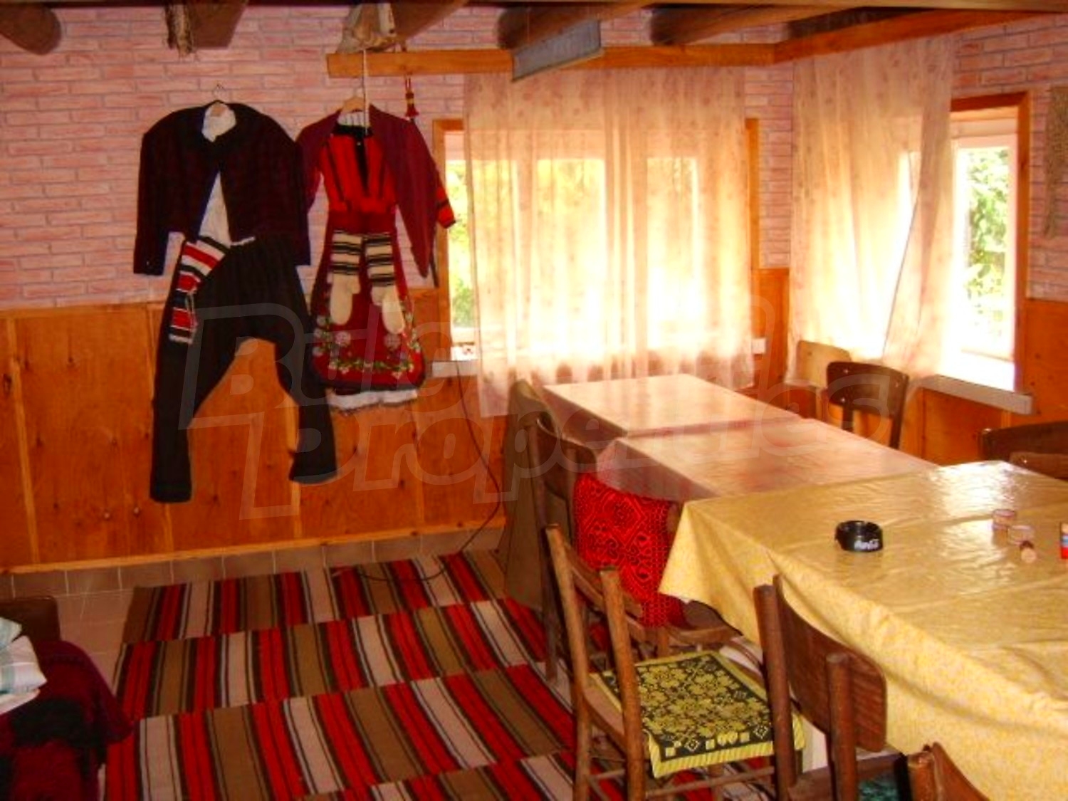 Gallery Picture 16