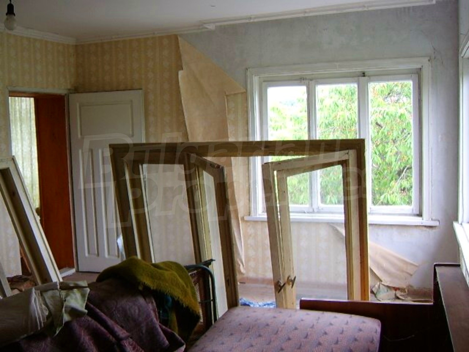 Gallery Picture 23