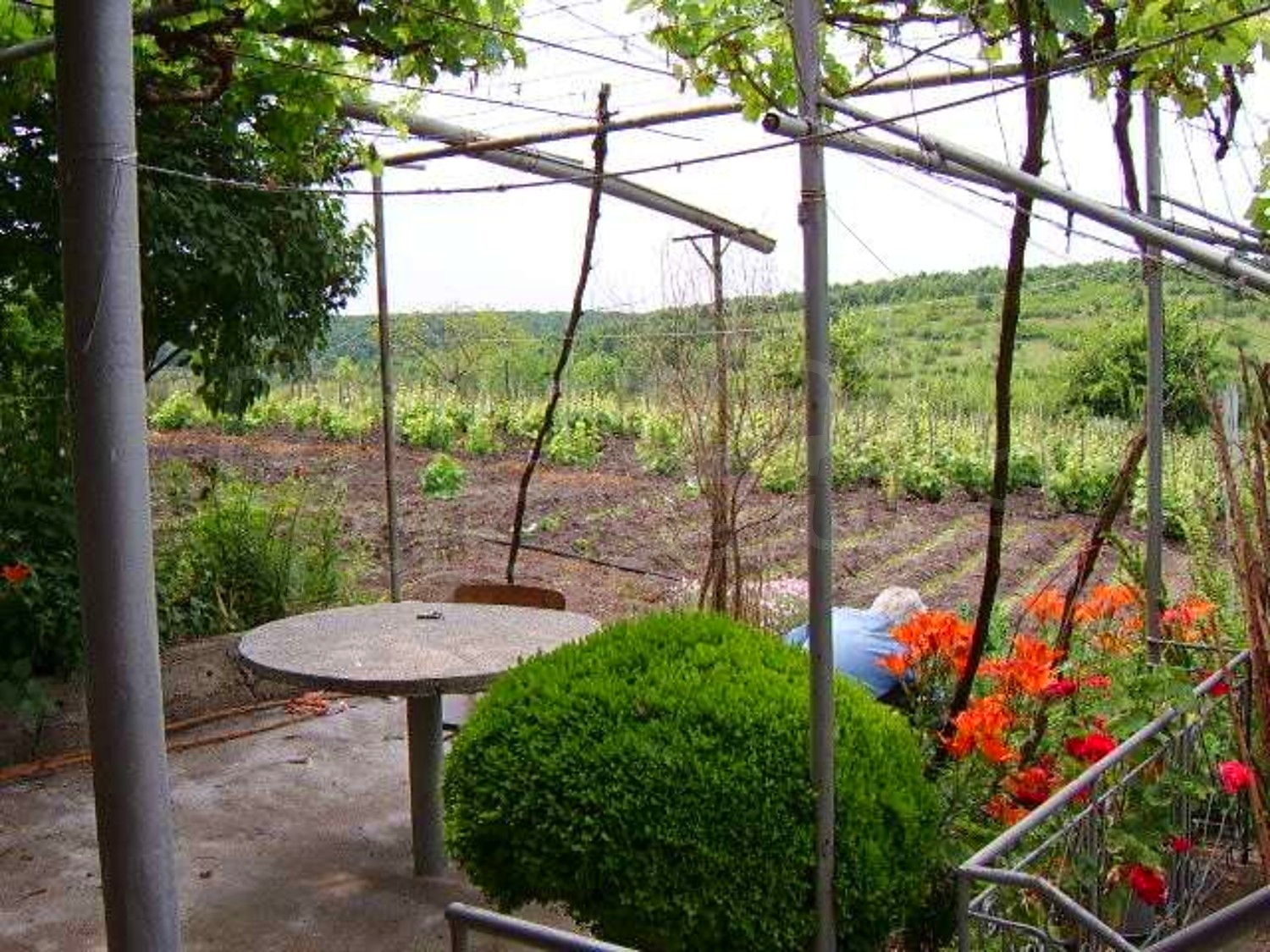 Gallery Picture 30