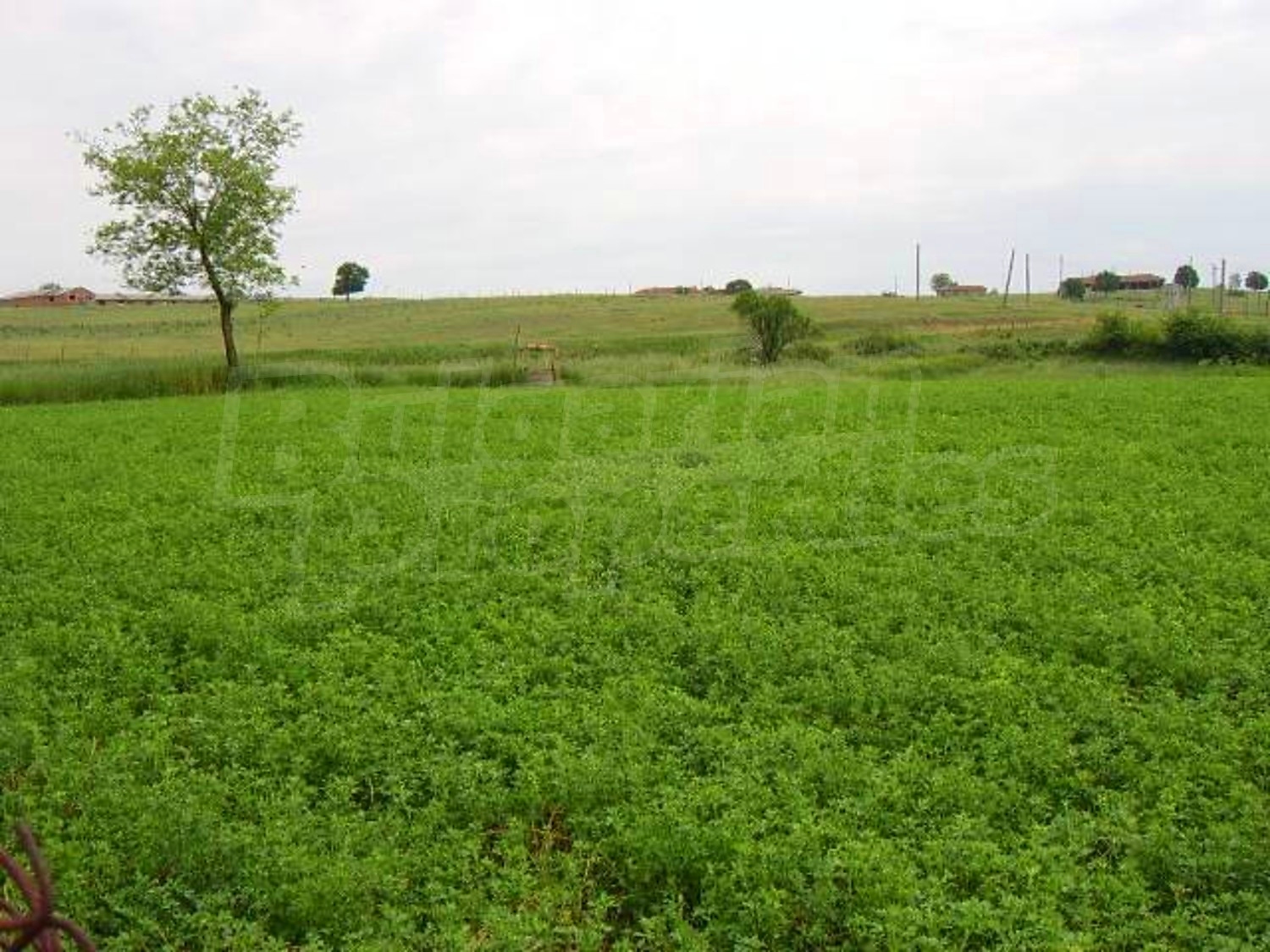 Gallery Picture 35