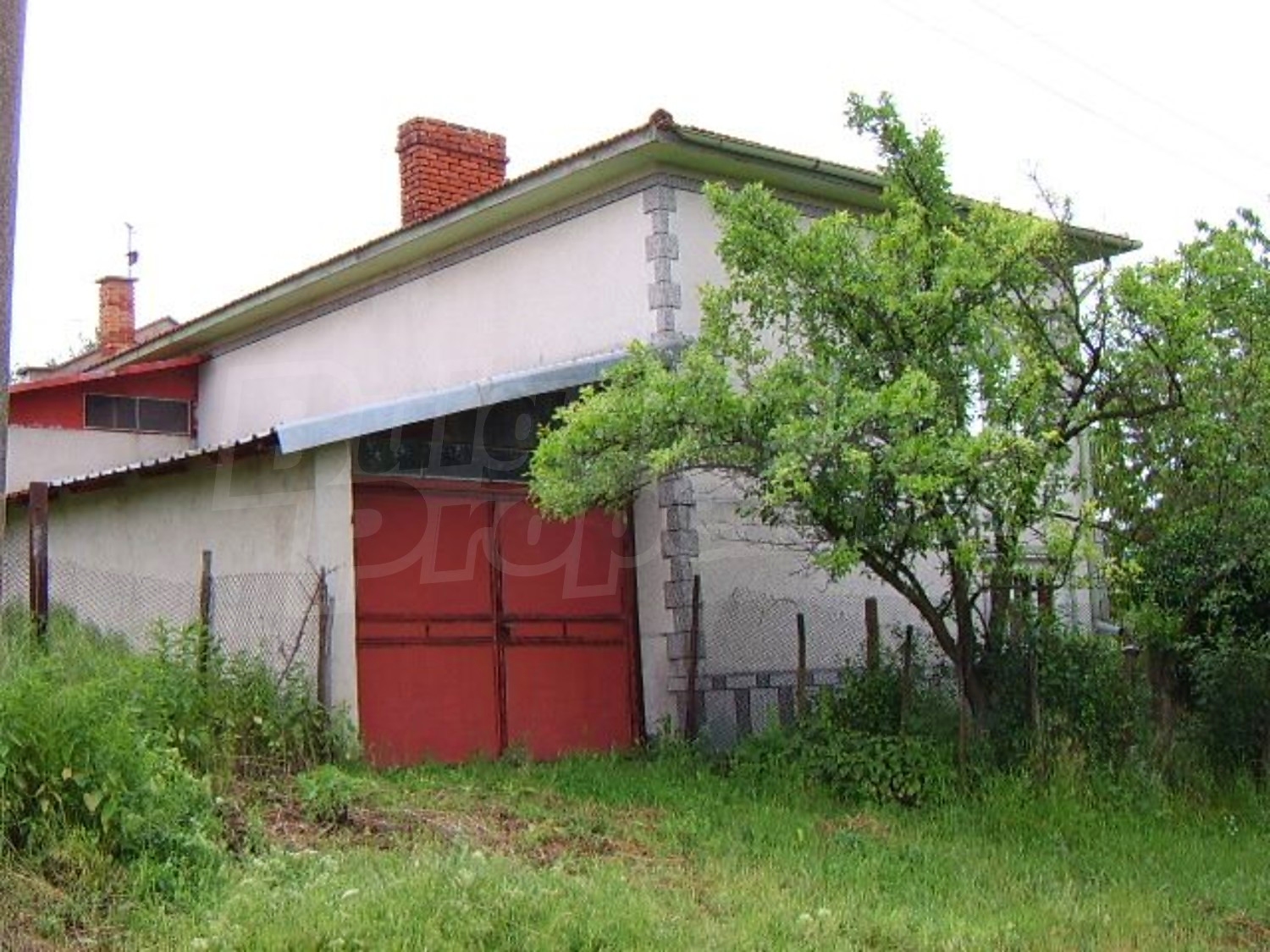 Gallery Picture 38