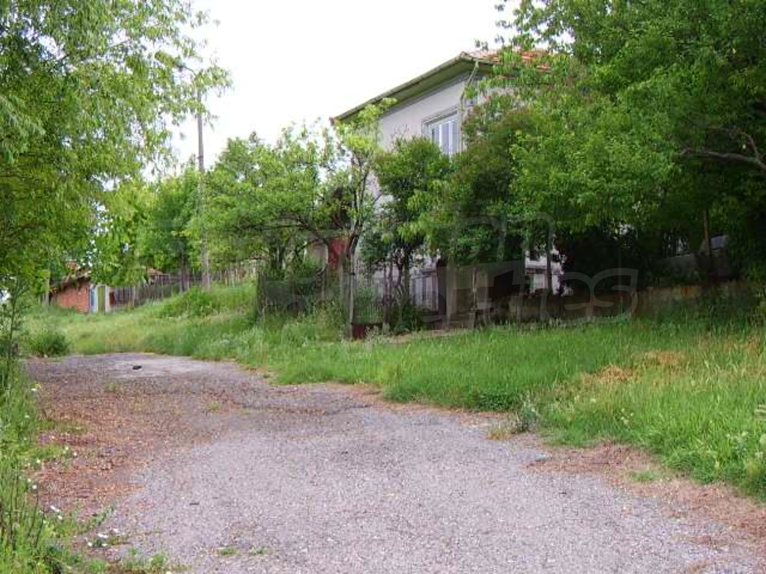 Gallery Picture 39