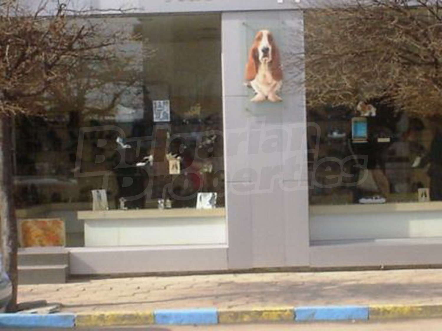 Gallery Picture 4