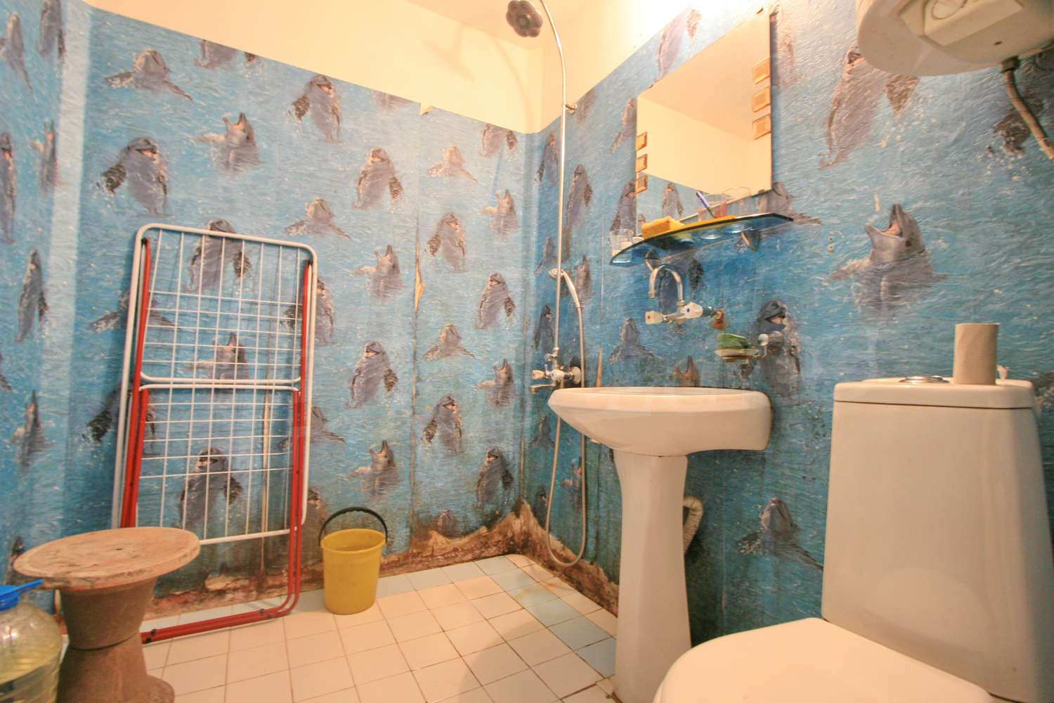 Gallery Picture 11