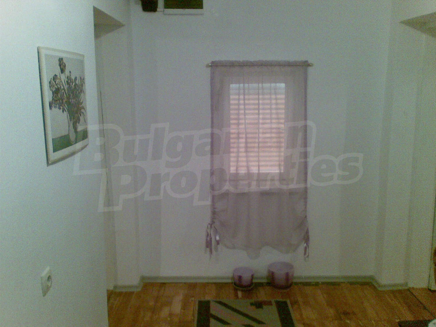 Gallery Picture 31