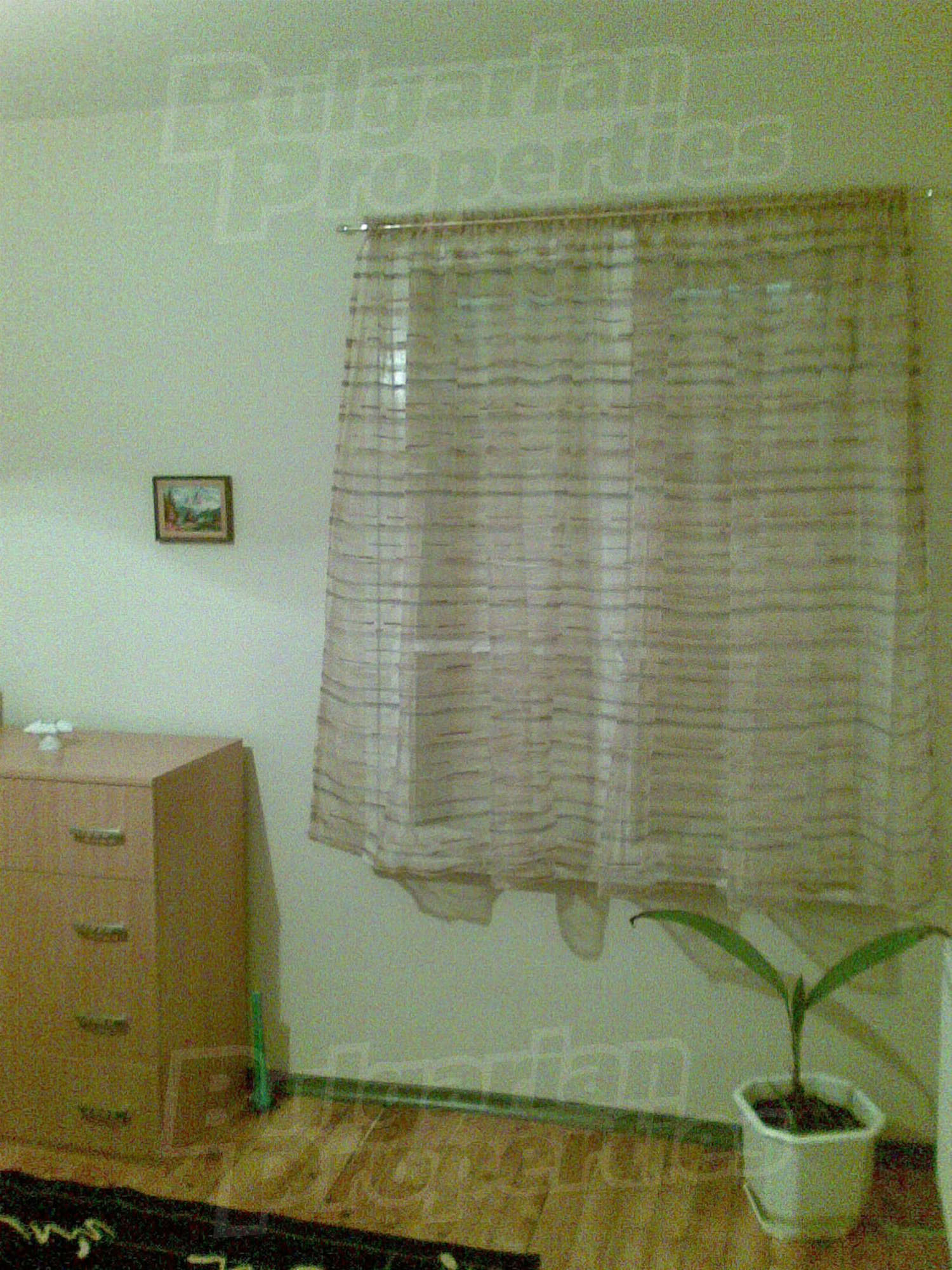 Gallery Picture 32
