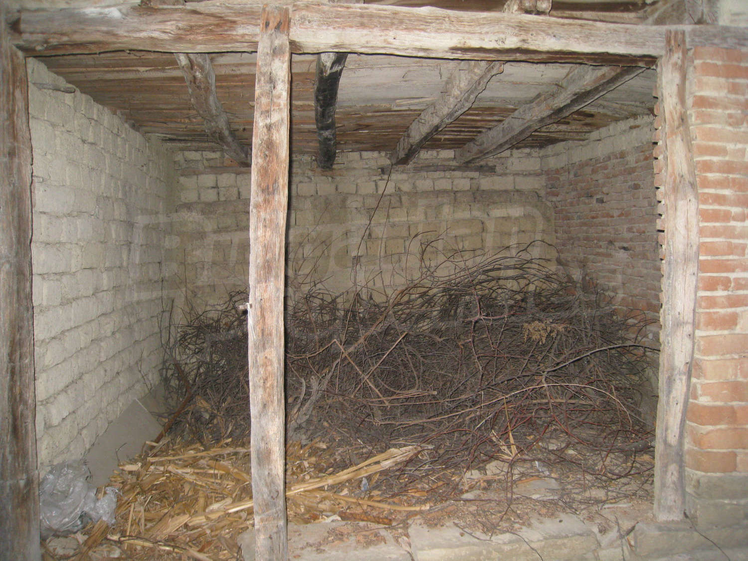 Gallery Picture 39