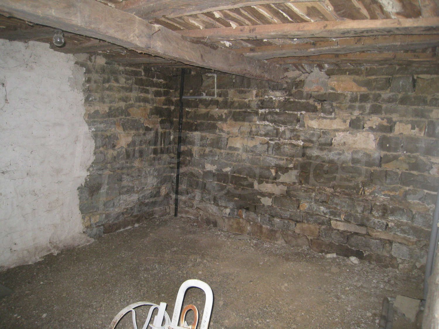 Gallery Picture 44