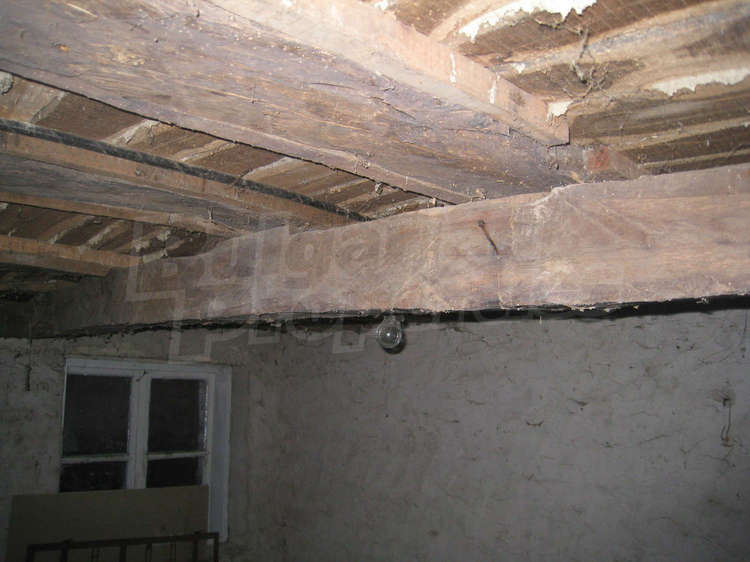 Gallery Picture 48