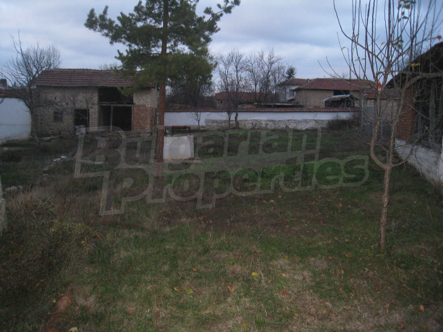 Gallery Picture 51