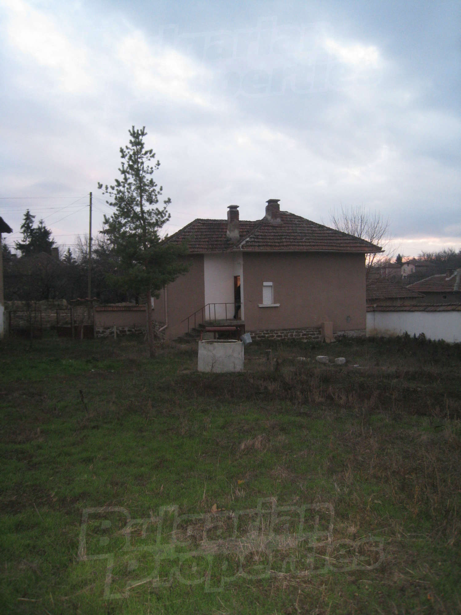 Gallery Picture 58