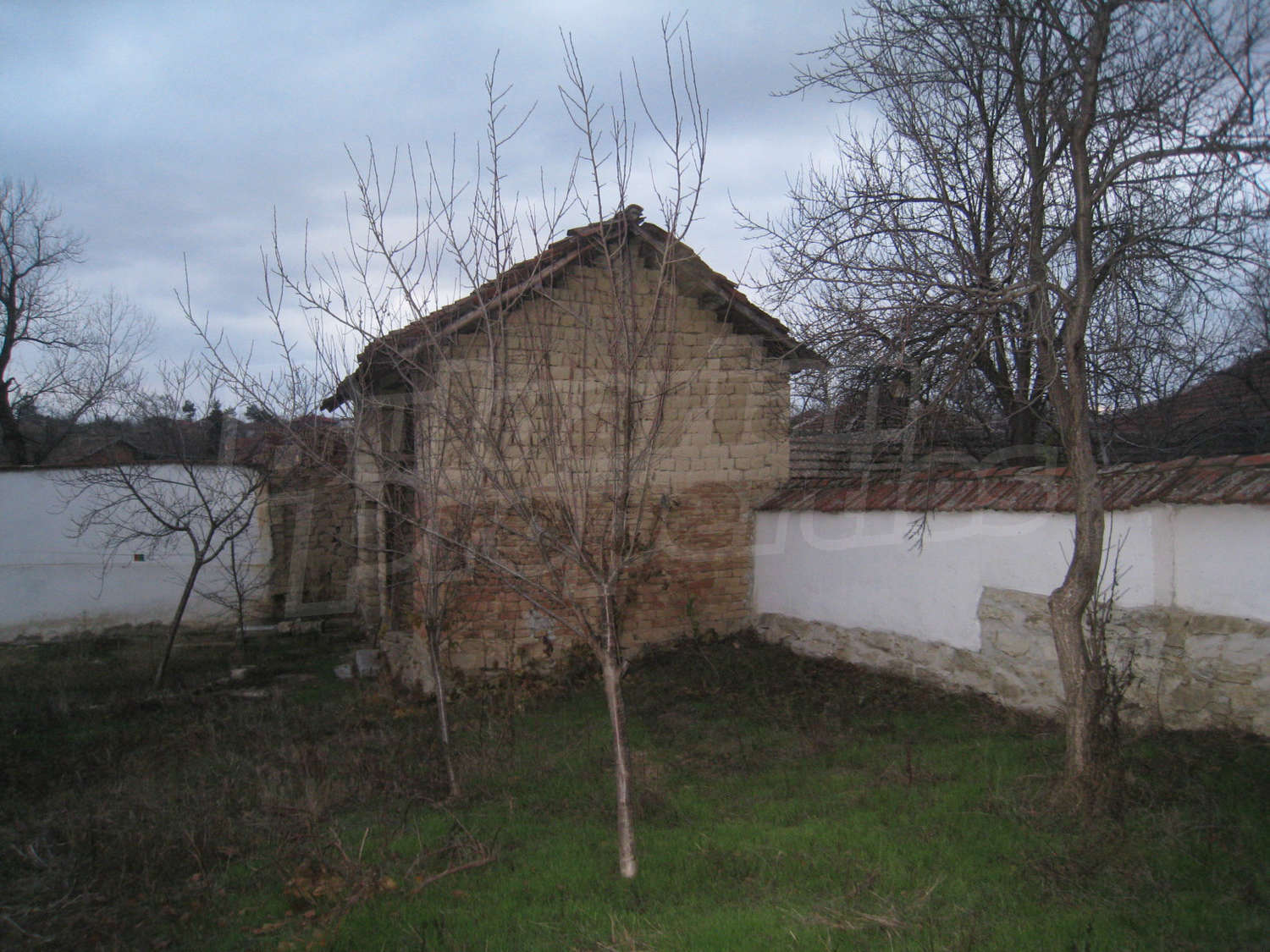Gallery Picture 59